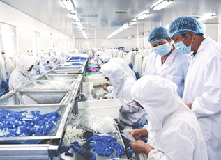 球盟会·qmh(中国)-官方网站